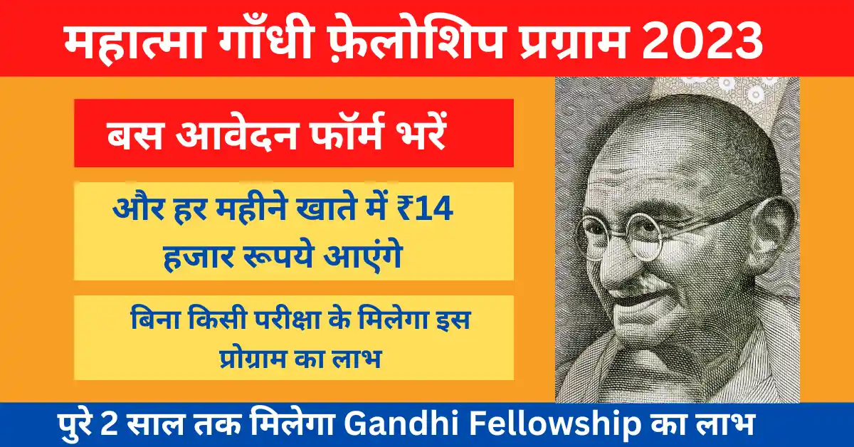 Mahatma Gandhi Fellowship 2023