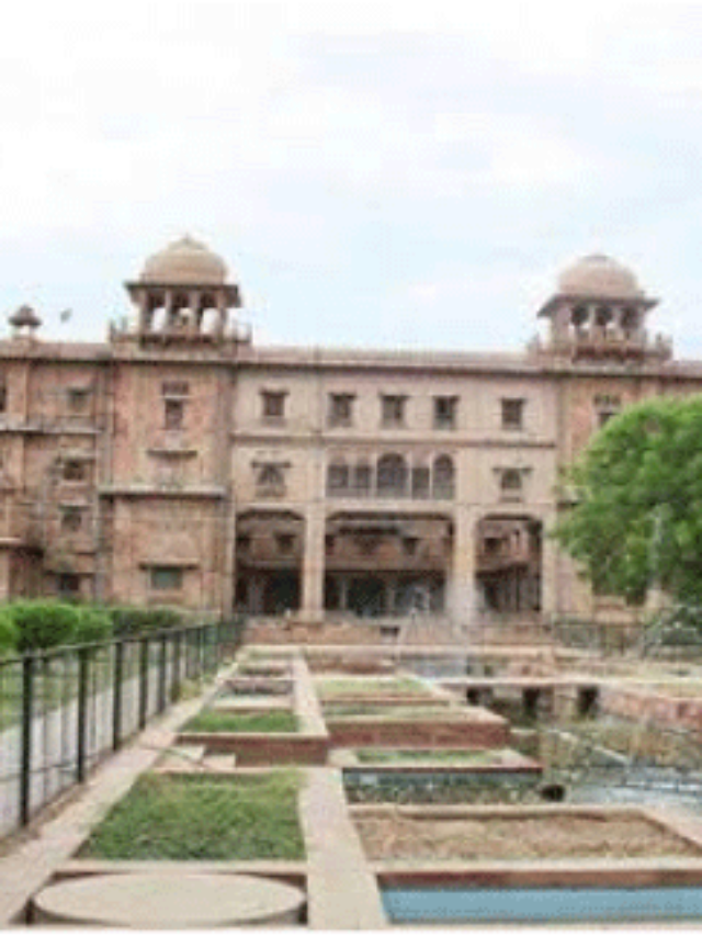 rajasthan-university
